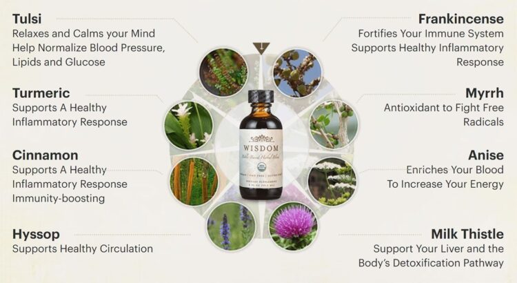 Wisdom Nutrition - Image 2