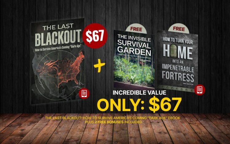Final Blackout Survival Guide: Reviewing the Latest Research