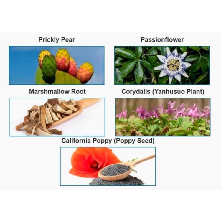 NeuroPure: Newest User Feedback (Product Summary) - Image 3