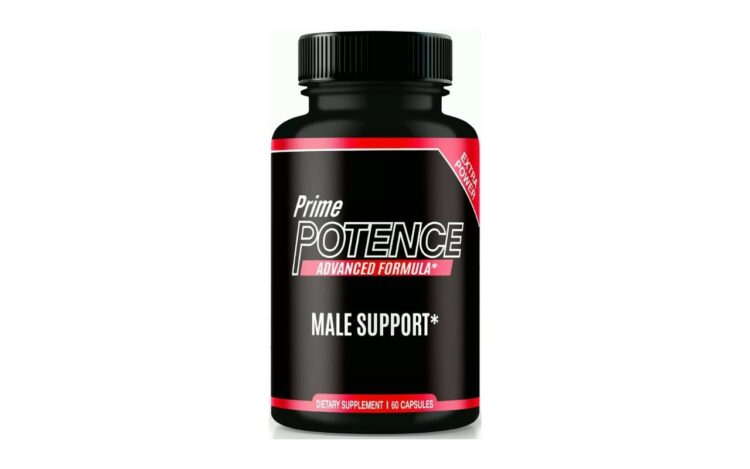 Prime Potence: Reviewing the Latest Research