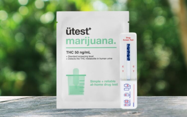 Single Panel THC Home Test Kit: Reviewing the Latest Research