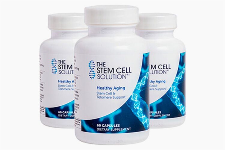 The Stem Cell Solution: Reviewing the Latest Research