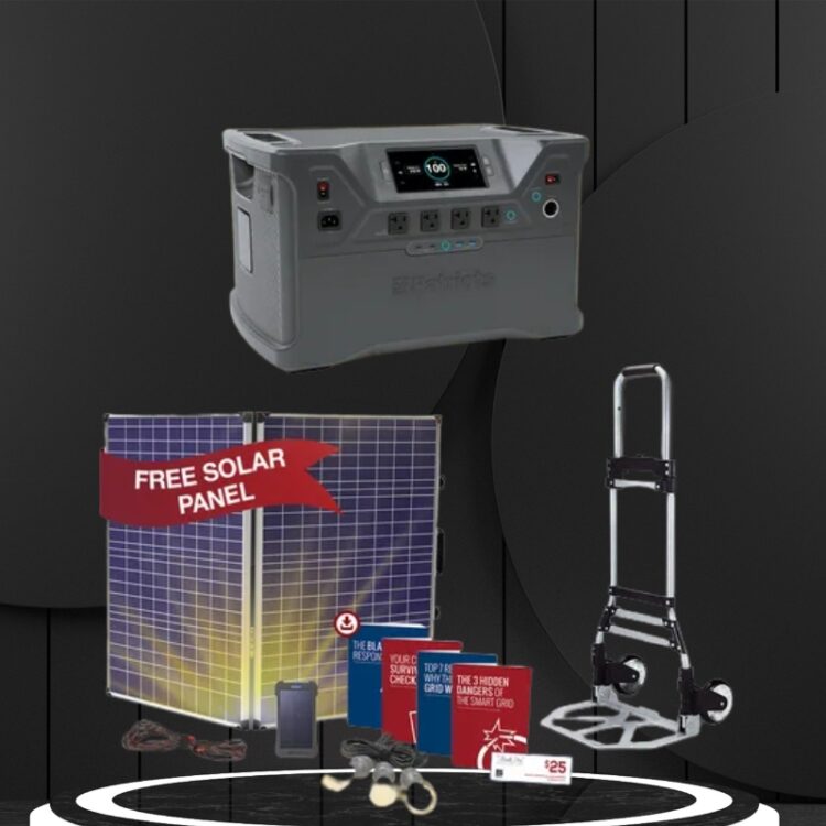 Patriot Power Generator 2500X